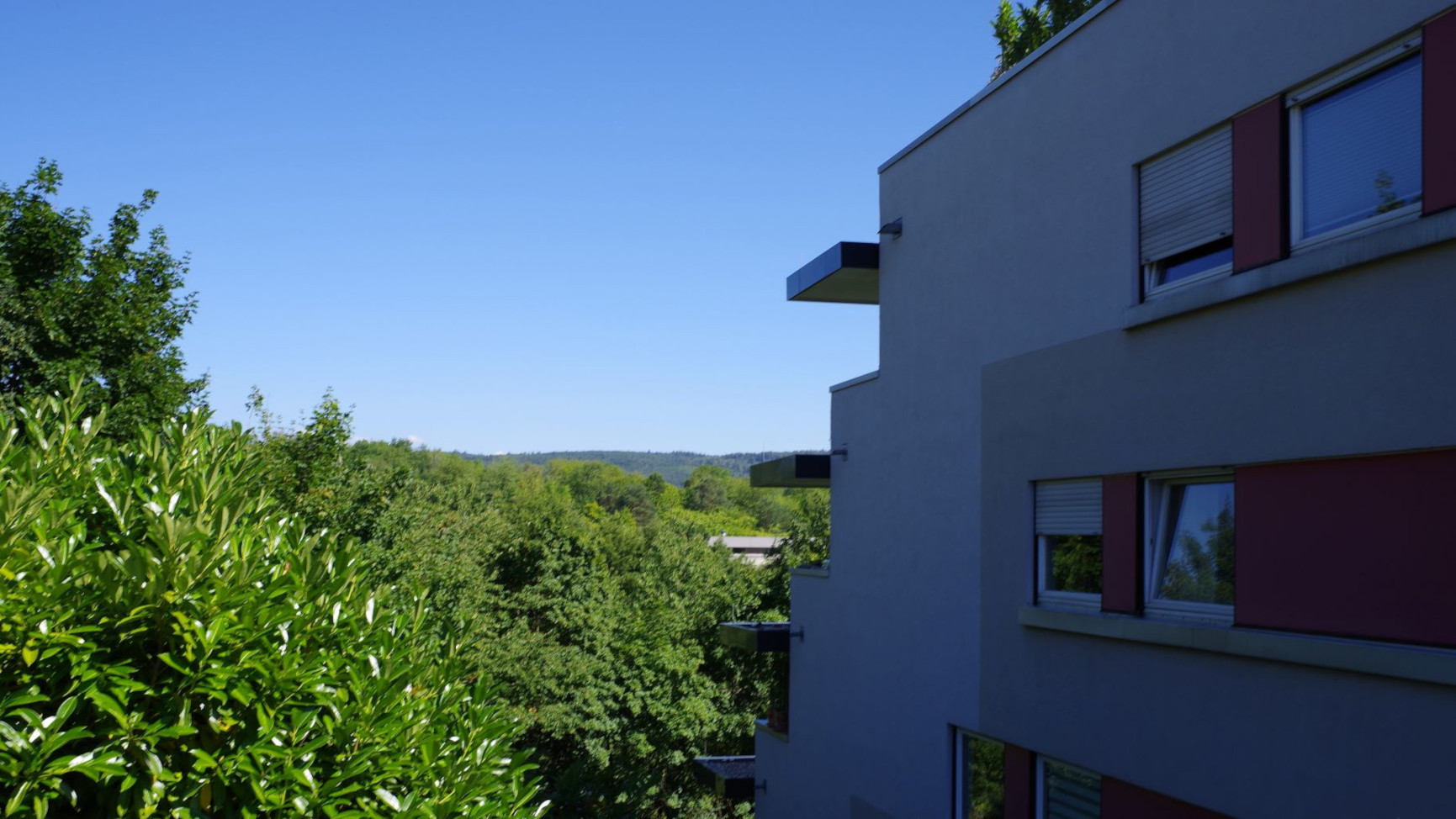 Etwa 8 km Entfernung zum Europapark in Rust (Sonnenberg, Ettenheim)