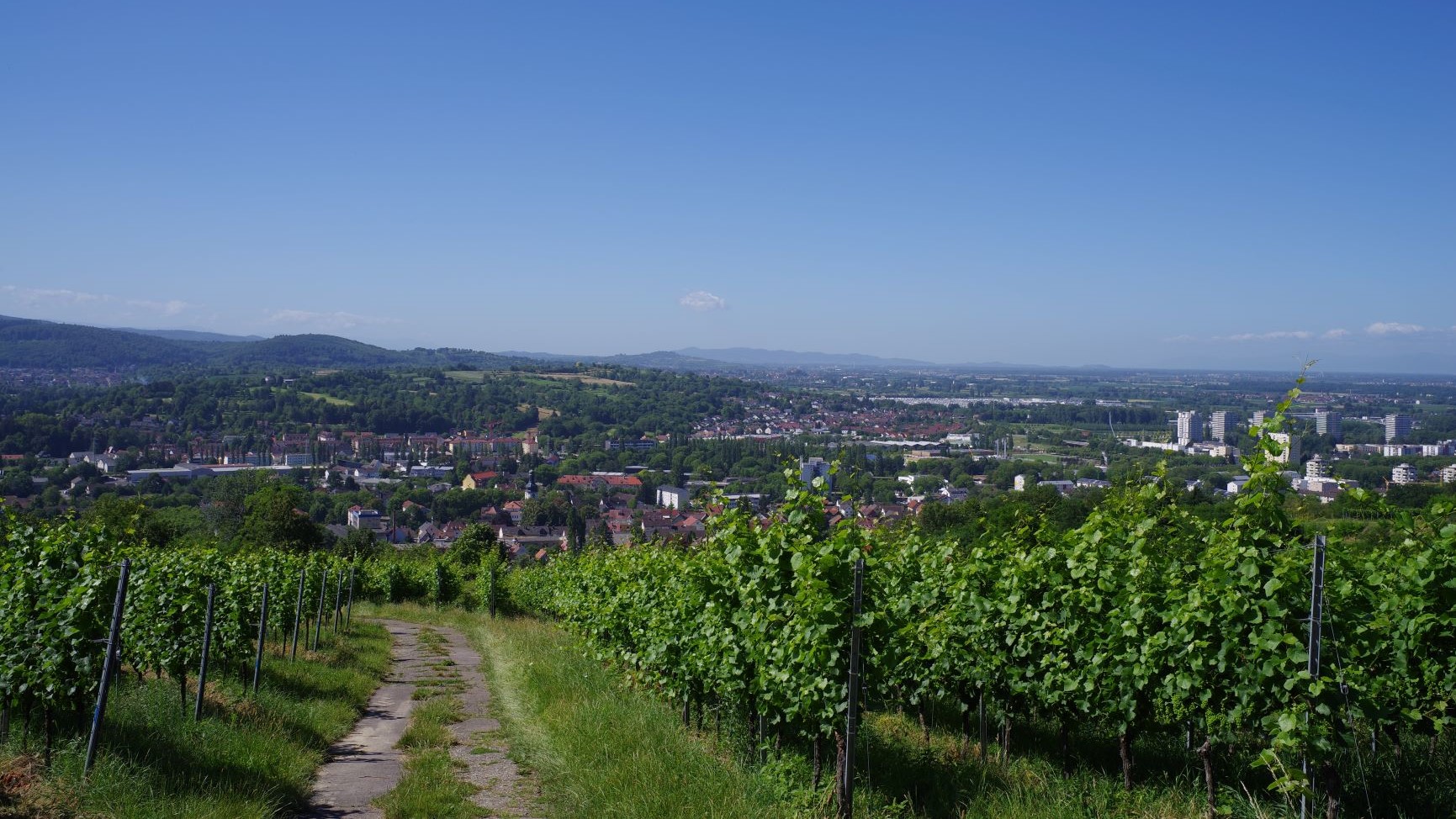 Ausblick Lahr im Schwarzwald in Baden Richtung Kippenheim und Rust mit Europapark